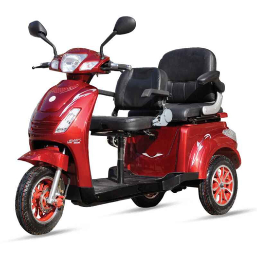 雙人老年代步車